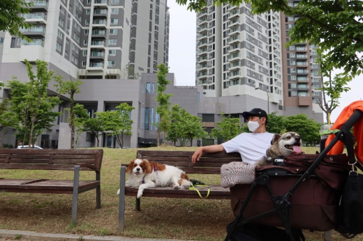  21.05.24 다시 시작하는 블챌 오늘일기