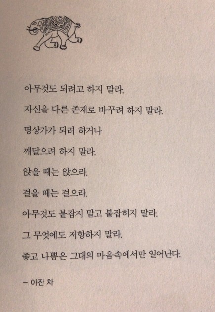  오늘일기: 자연스러운 흐름에 내맡기고 살아가기