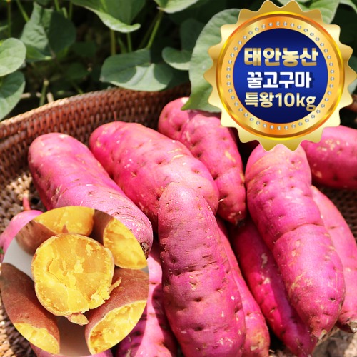 인기있는 태안농산 꿀고구마 특왕(300g이상) 10Kg, 꿀고구마 특왕10kg 추천해요 인기있는 태안농산 꿀고구마 특왕(300g이상) 10Kg, 꿀고구마 특왕10kg 추천해요