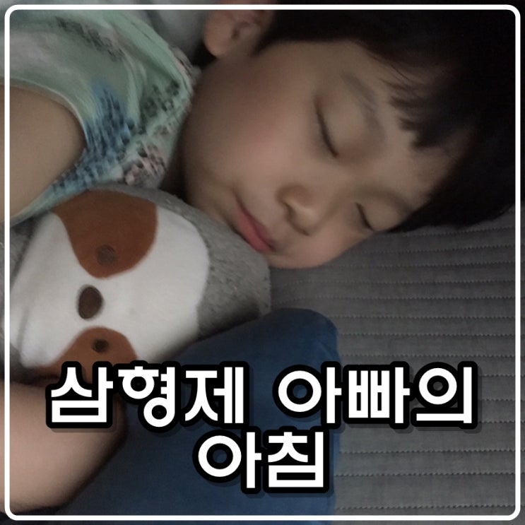  삼형제아빠의 이른아침