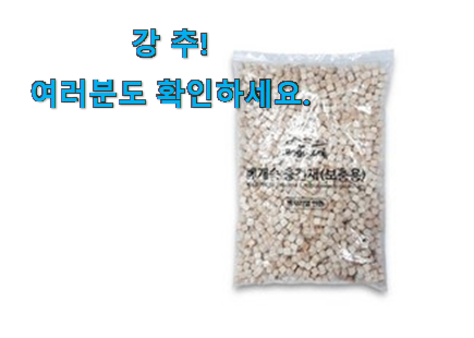 유행예감 편백나무 큐브 아이템 모임에서도 칭찬해요 유행예감 편백나무 큐브 아이템 모임에서도 칭찬해요