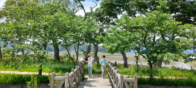  아이와 걷기 좋은 숲머리 둑길, 선덕여왕 길