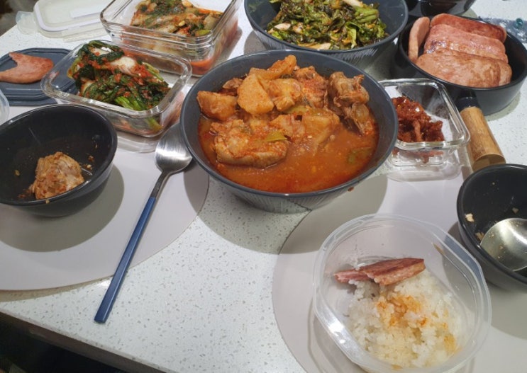  21.05.25 블챌 오늘일기 오이돌이 밥해줌
