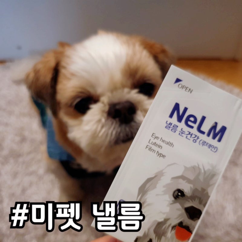 [강아지 필름영양제] 미펫 낼름 눈영양제 기호성은 글쎄.. (추천인링크)