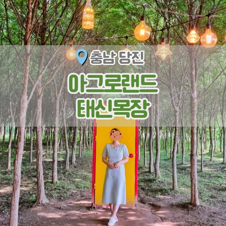  아그로랜드 태신목장 , 자연 속에서 예쁜 사진 남길 수 있었던 곳