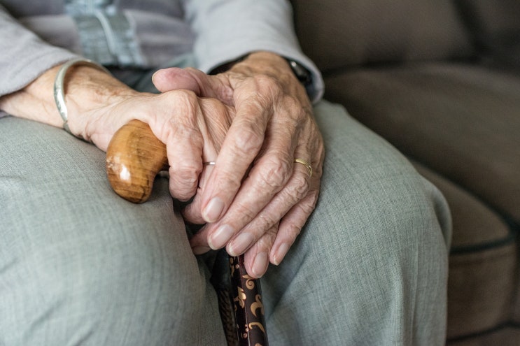  [건강]"내 머릿속에 지우개?" 절대 무시하면 안 되는 징조
