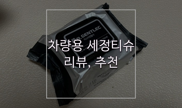  미스터젠틀씨 올인원 멀티 차량용 세정티슈 리뷰