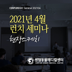  2021년 4월 수의사 런치 세미나 현장스케치 (수영 센텀동물메디컬센터)