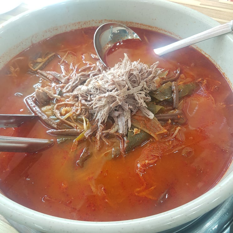  강화도 칼국수 맛있는집 솔직 후기