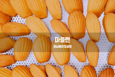  마들렌