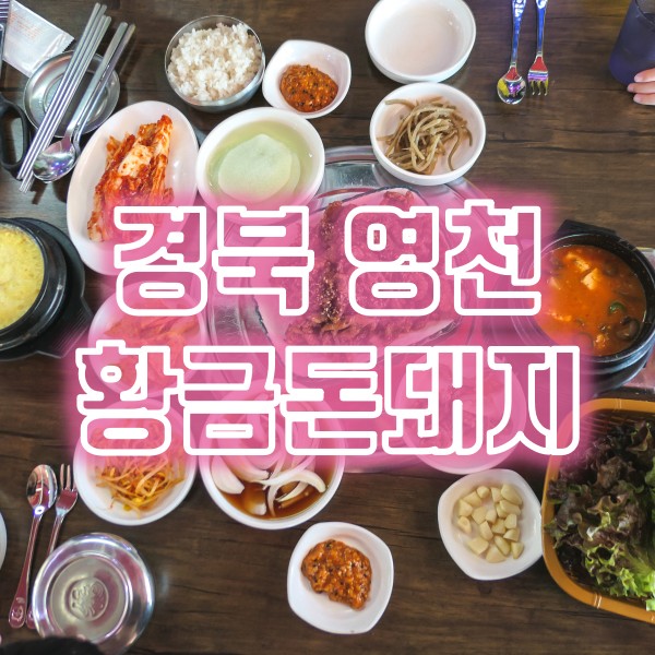  영천 고기집 밥집 황금돈돼지 석쇠불고기