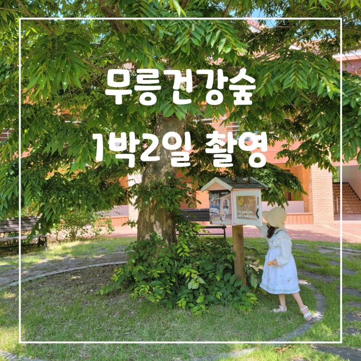 동해 무릉건강숲, 휴가철 펜션 휴양림 숙소 고민될 때