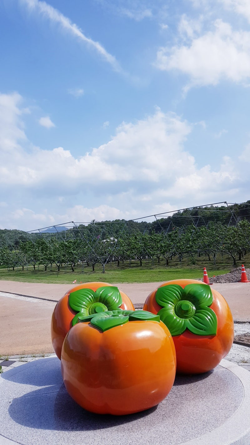 플랫강 - 오늘의AI위키, AI가 만드는 백과사전, image size:800x1422