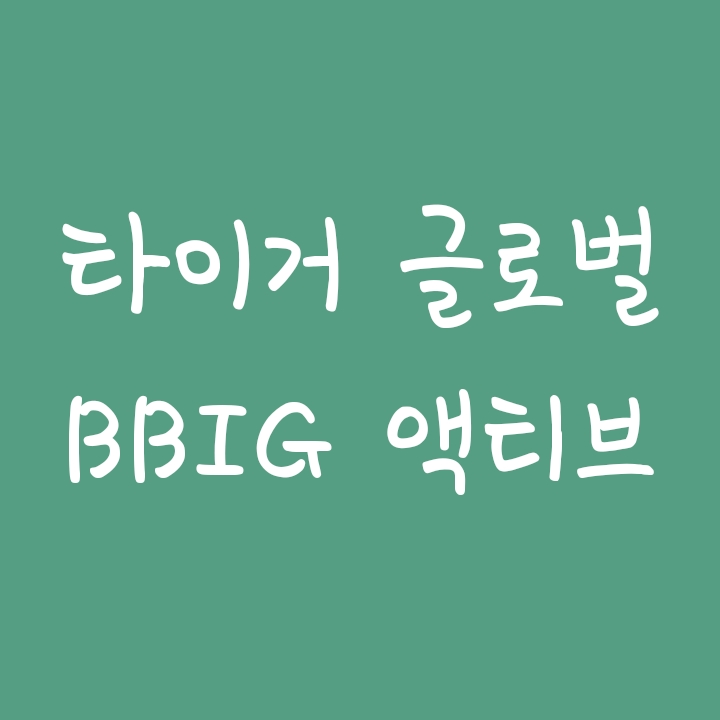 타이거 글로벌 BBIG 액티브 ETF 소개 (미래에셋tiger) 타이거 글로벌 BBIG 액티브 ETF 소개 (미래에셋tiger)