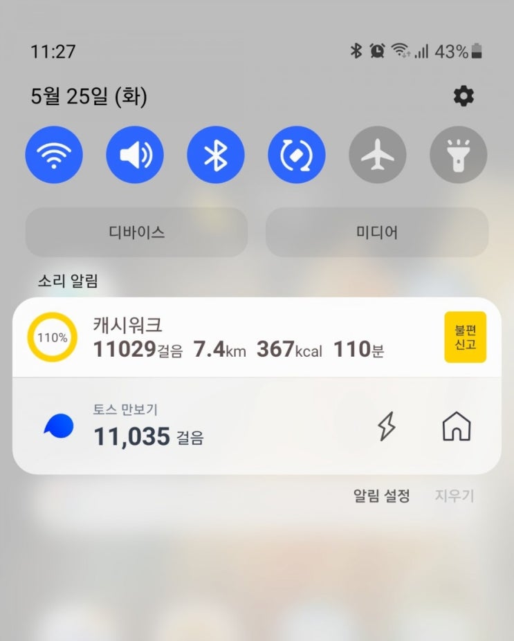  건강을 지키는 단순한방법(만보걷기 D+28)