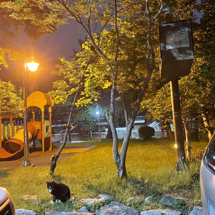  [#오늘일기,다시 둘]황홀경, 단호박, 스페인어 블라블라