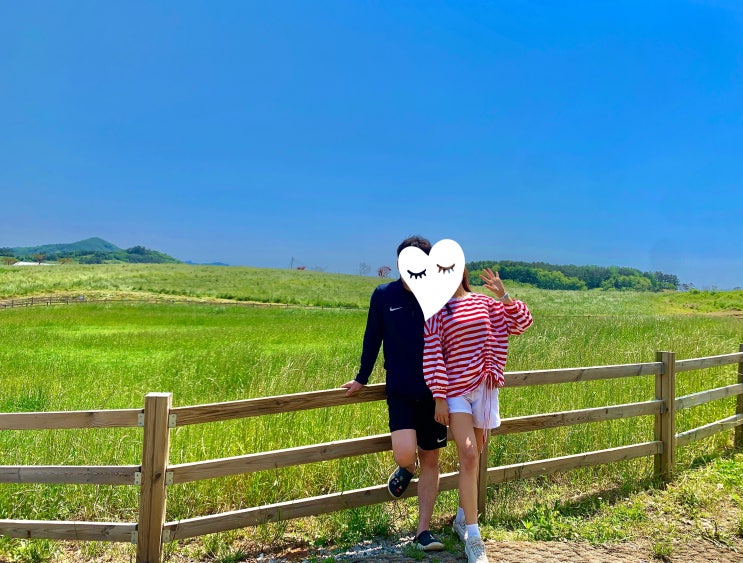  쑤기랑 일상. #오늘일기