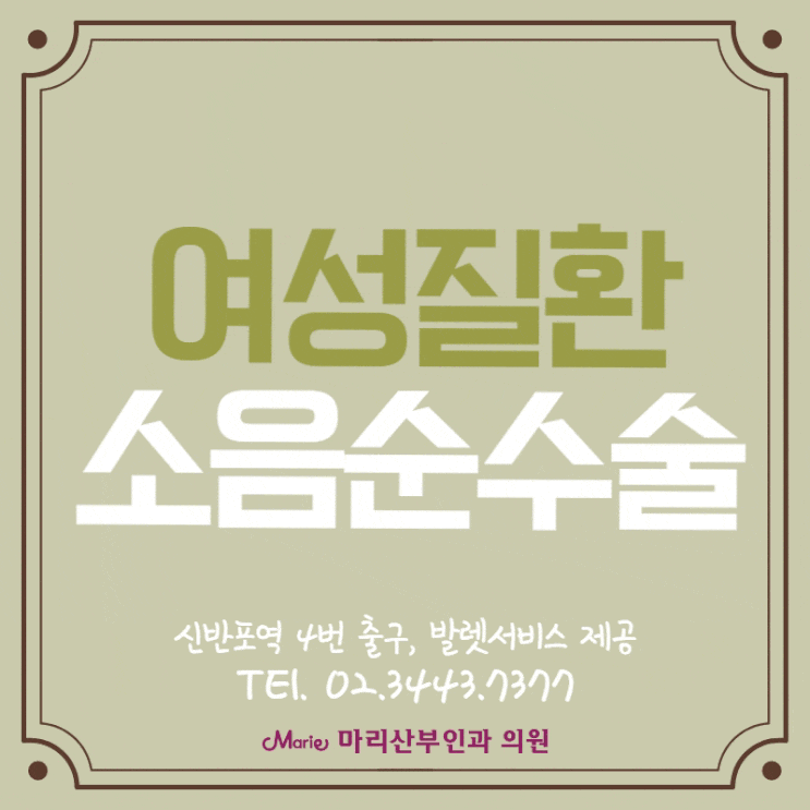 여성 질환 해결, 소음순수술로도 해결 가능 서초 여의사산부인과