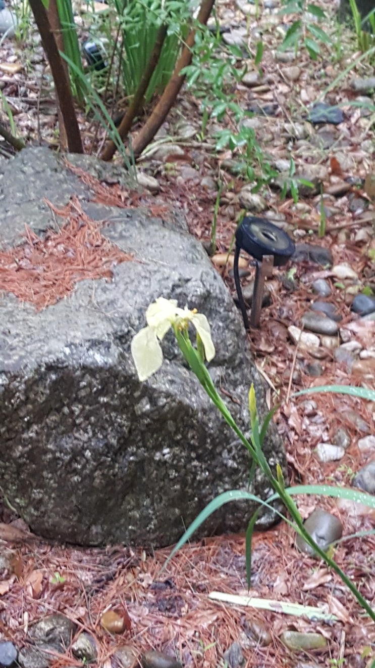  블로그 챌린지 오늘일기 5/25