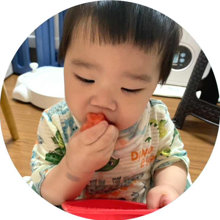  돌아기 수박 먹어도 될까? (수박껍질 쓰레기 버리는 방법 포함)