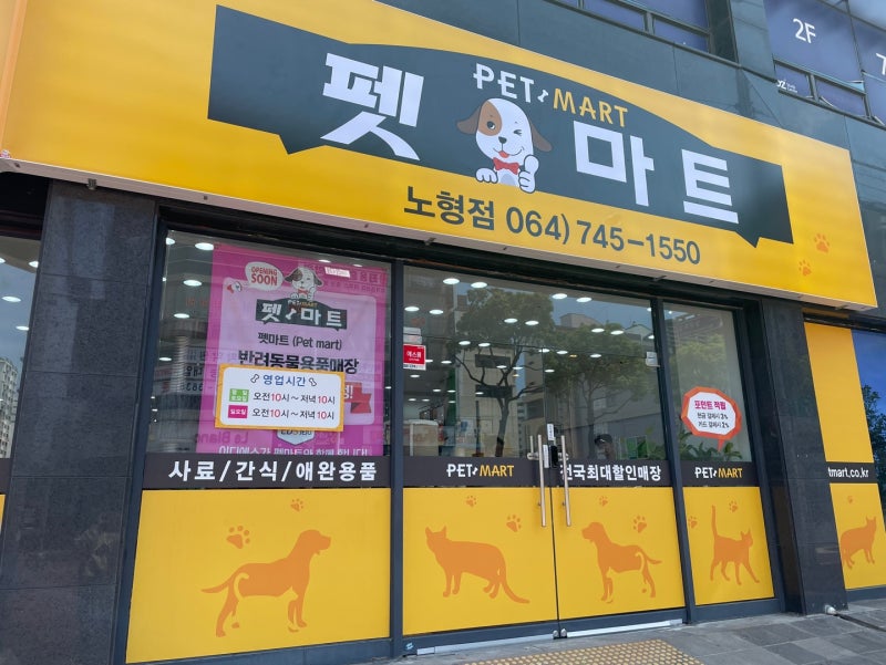 사진 2