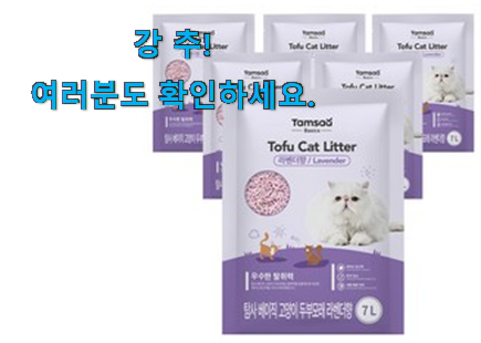 품절대란 고양이 두부 꿀템상품 무조건 살 수밖에없어요 품절대란 고양이 두부 꿀템상품 무조건 살 수밖에없어요