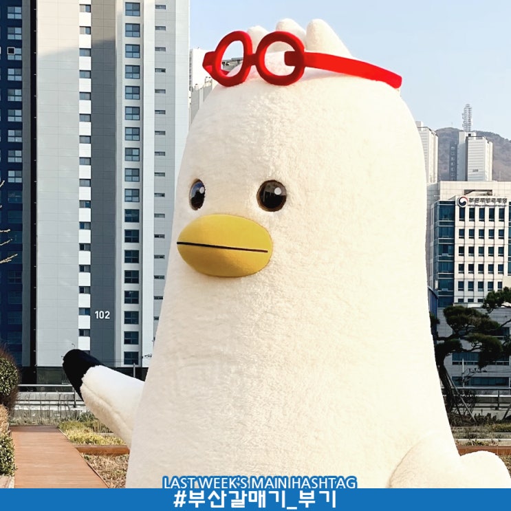 5월 2주차 두런콘텐츠뉴스- 부기는 부산 갈매기의 준말로 현재 부산시 뉴미디어담당관실에서 인턴으로 근무 중 外 5월 2주차 두런콘텐츠뉴스- 부기는 부산 갈매기의 준말로 현재 부산시 뉴미디어담당관실에서 인턴으로 근무 중 外