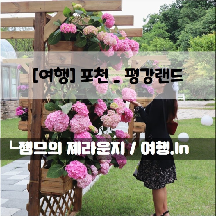  <포천 여행> 포천 가볼만한 곳_비오는날도 좋은 평강랜드 +반려동물 출입가능!
