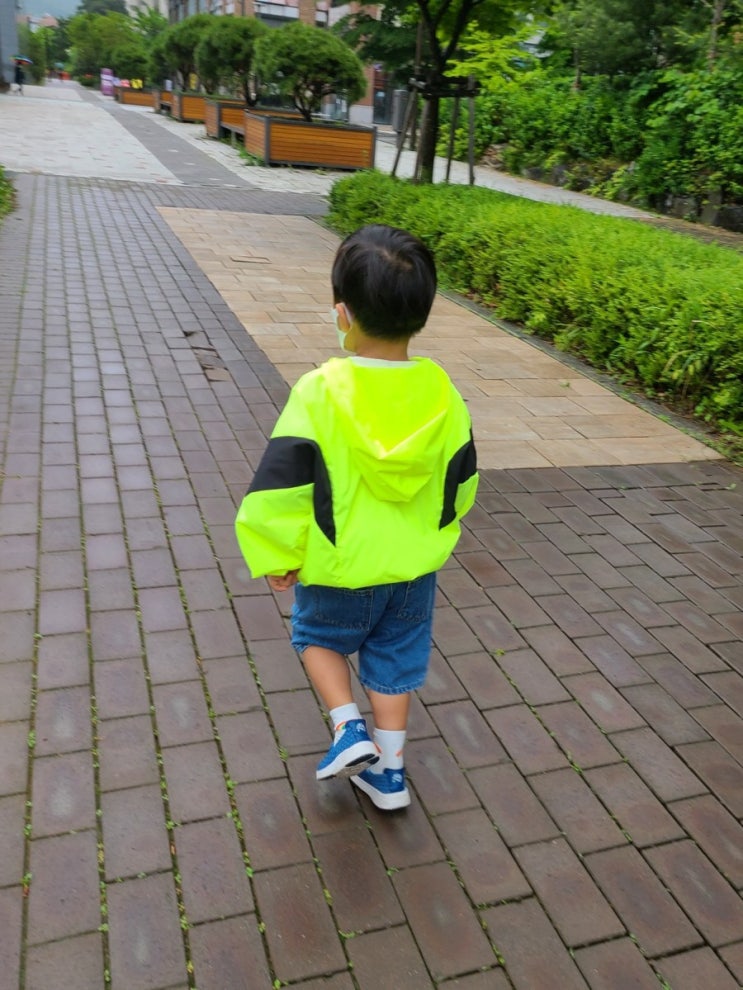  비오는 아침 등원길