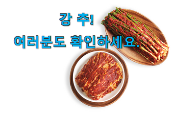 가성비 대전 선화동 실비 파김치 가성비 구매 무조건 살 수밖에없어요 가성비 대전 선화동 실비 파김치 가성비 구매 무조건 살 수밖에없어요