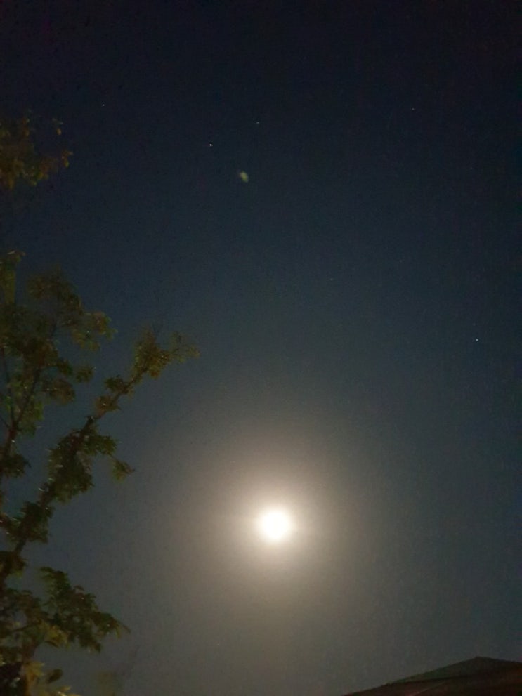 달 밝은밤~