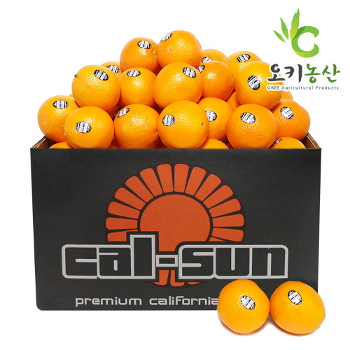 후기가 정말 좋은 브랜드없음 블랙라벨 고당도 오렌지 56과 (대과/280g내외) 16kg, 단품없음 추천해요 후기가 정말 좋은 브랜드없음 블랙라벨 고당도 오렌지 56과 (대과/280g내외) 16kg, 단품없음 추천해요