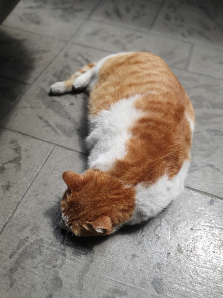  2021. 05. 25 오늘일기