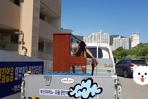형진상회 이미지