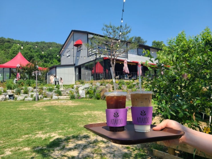 대구 가창 애견동반 카페 잔디밭이 예쁜 아마루(AMAROO) 다녀왔어요 (내돈내산) 대구 가창 애견동반 카페 잔디밭이 예쁜 아마루(AMAROO) 다녀왔어요 (내돈내산)