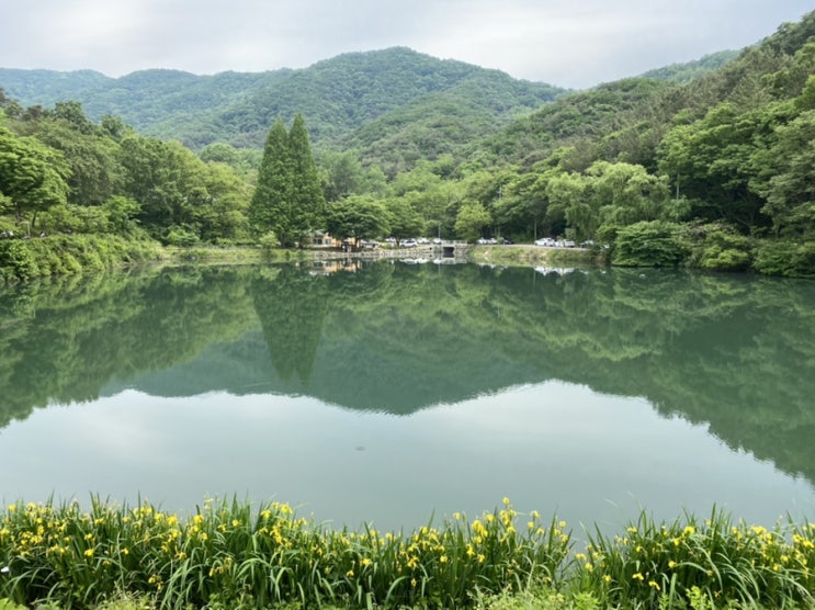  [핫한카페] 공주 엔학고레, 반려견 야외석 동반가능, 뷰맛집 추천, 감성카페