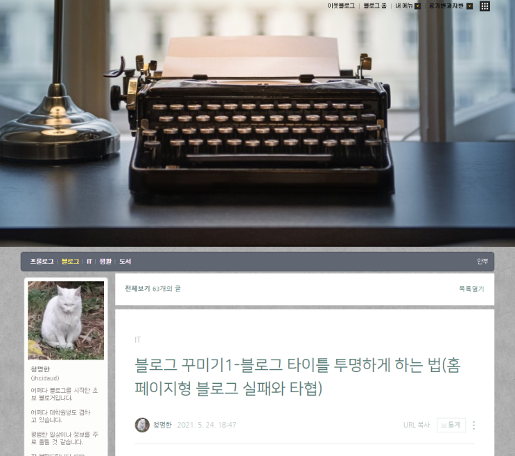  블로그 꾸미기1-블로그 타이틀 투명하게 하는 법(홈페이지형 블로그 실패와 타협)