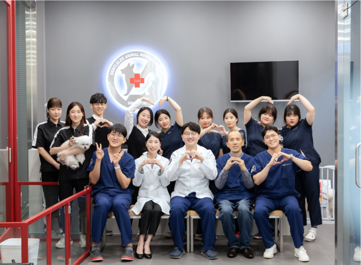  안검종양, 반려견 눈에 이상한 게 생겼어요, 방화동 24시간 동물병원