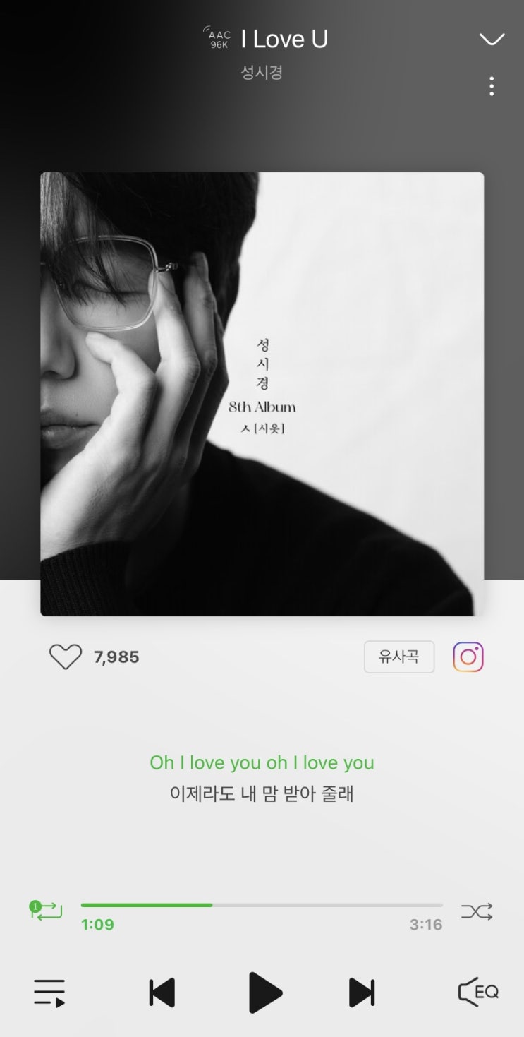  디니의 열세번째 기록