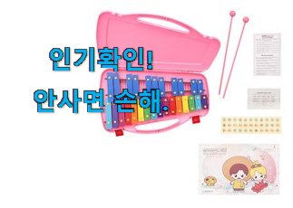  나만알고싶은 초등학생 실로폰 꿀템 와이프도 좋아하네요