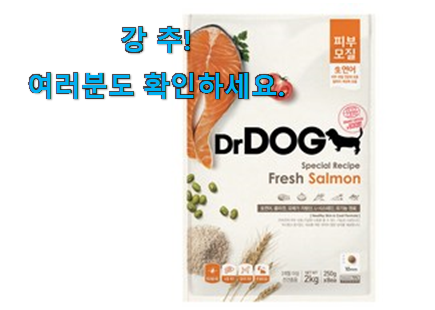 갖고싶은 닥터독 꿀템 추천입니다 갖고싶은 닥터독 꿀템 추천입니다