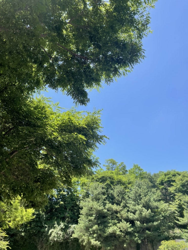  #이레