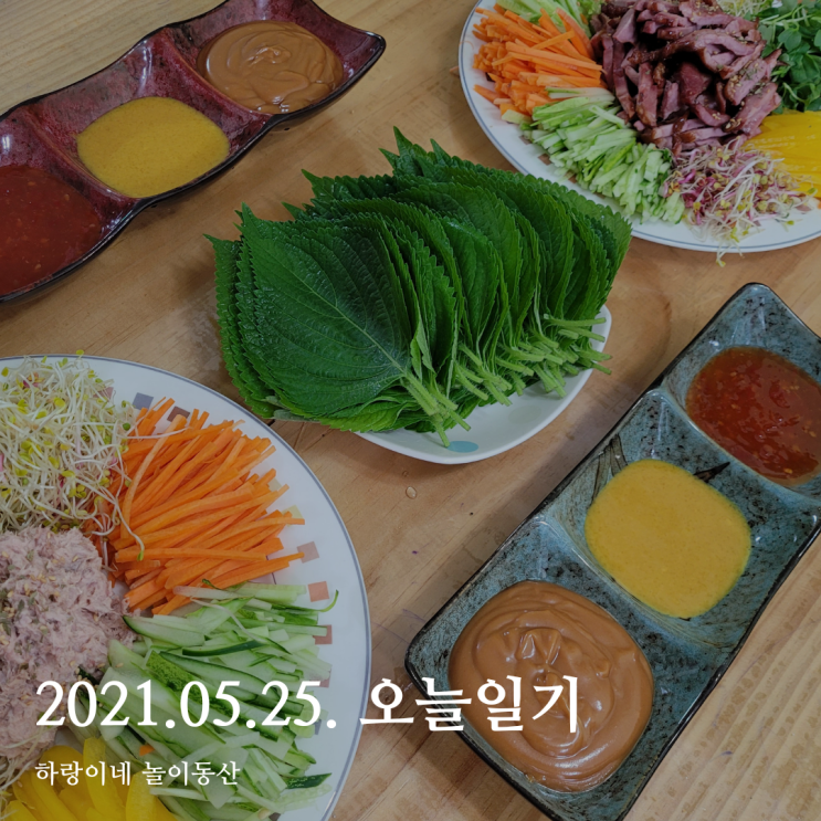  2021년 5월 25일 (화) : 월남쌈 만들어 먹기, 다이어트 식단이라 쓰고 폭식 이라 읽는다.