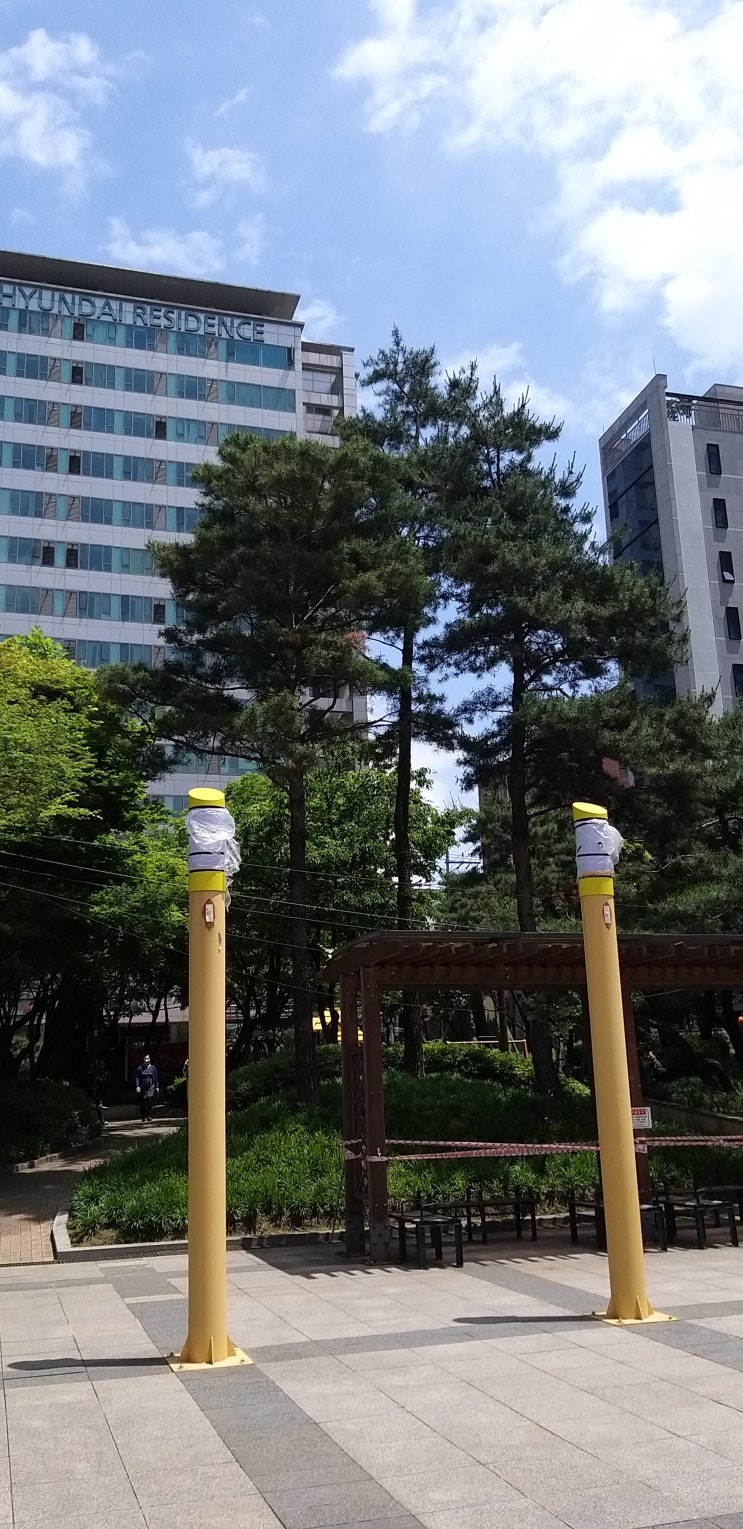  [오늘일기] 비가온 다음날이라 너무 날씨가 화창하다..