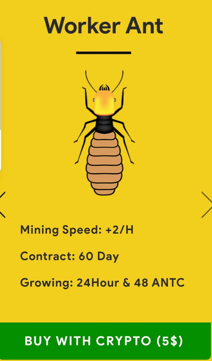  (동향) Ant coin 패키지 도입
