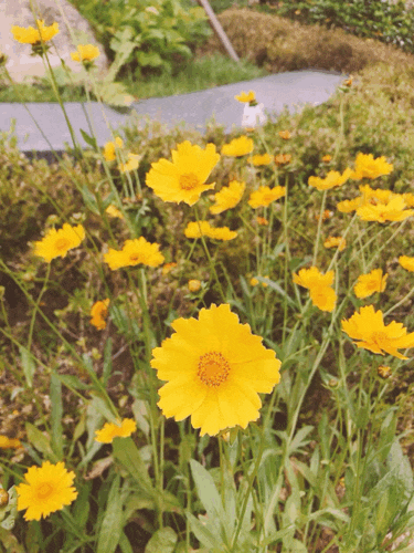  다시, 알찬하루 만들기~ (2일차)