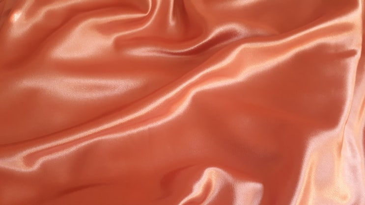  견이라고도 불리는 실크(Silk) 소재를 알아보자!