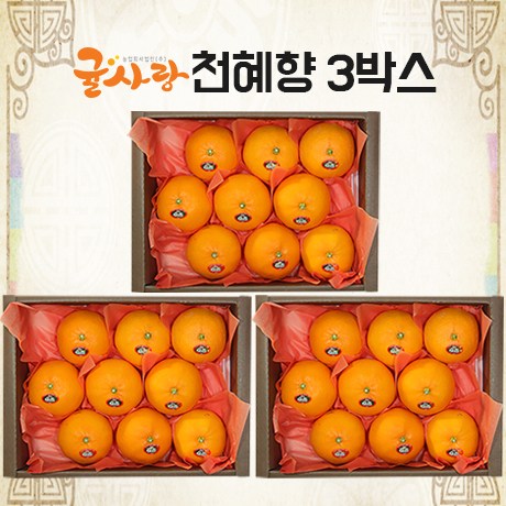 후기가 정말 좋은 참조은 제주 고당도 천혜향 총6kg (2kg x3박스) 좋아요 후기가 정말 좋은 참조은 제주 고당도 천혜향 총6kg (2kg x3박스) 좋아요