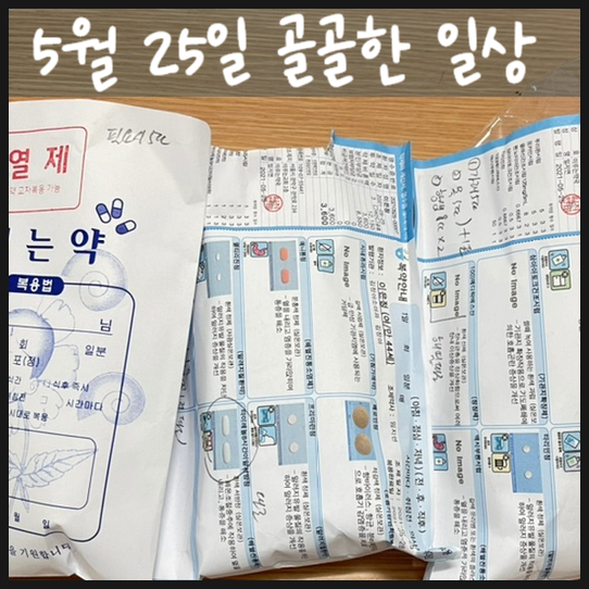  5월 25일 골골한 일상