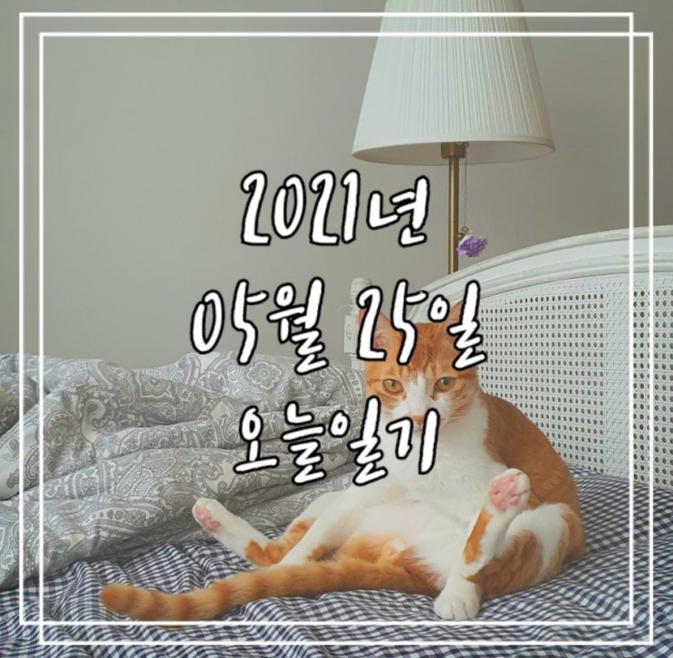  2021년 5월 25일